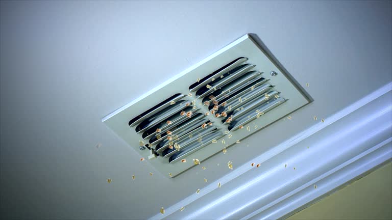 Best HVAC Duct Inspection Services  in Eastwood, LA