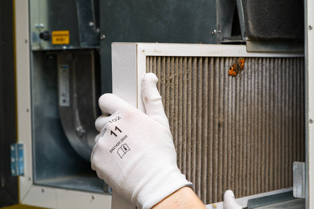 Best Affordable Air Duct Cleaning  in Eastwood, LA