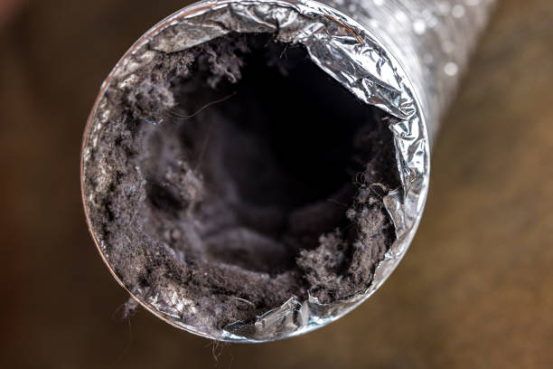 Home Air Vent Cleaning in Eastwood, LA