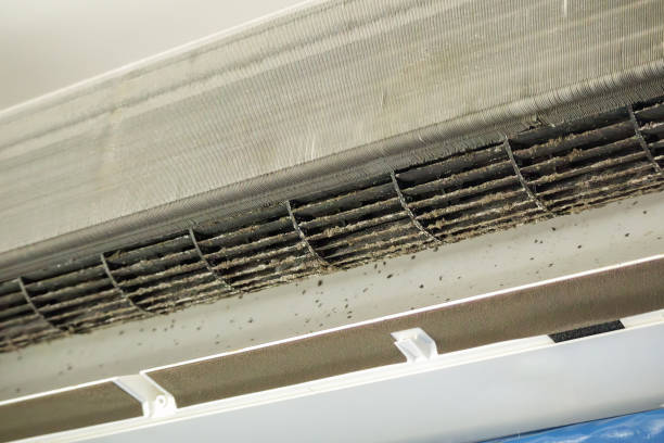Best Air Duct Cleaning Near Me in Eastwood, LA